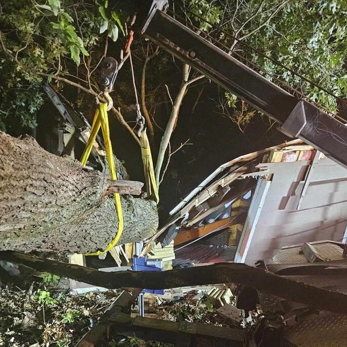 Tree destroys cabin at Michigan camp, trapping counselor in bed for 90 minutes